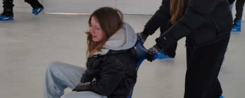 Wyjazd na lodowisko 10.02.2026